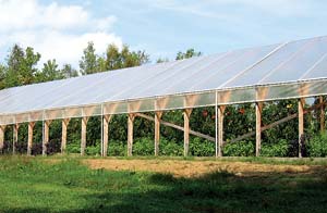 The tomato greenhouse at Sidehill Farm in Ashfield, Mass.